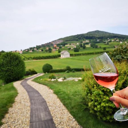 Roze Vendeghaz Hotel Villány Екстериор снимка