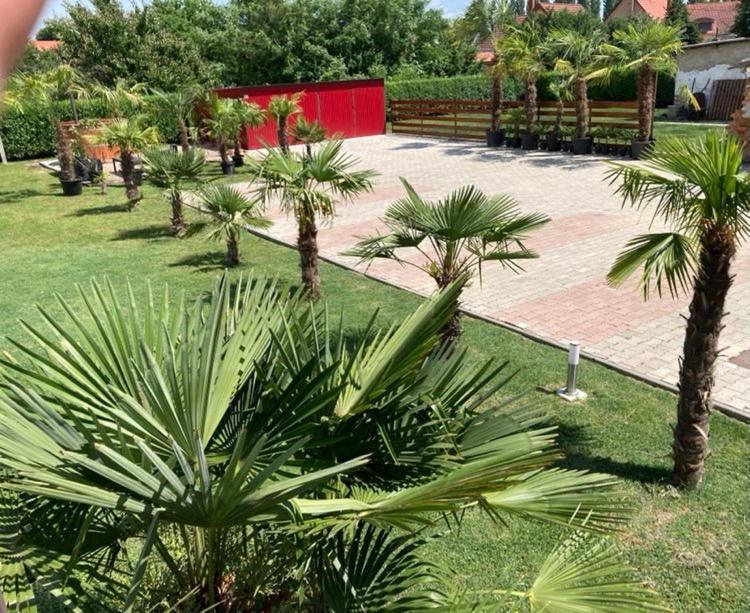 Roze Vendeghaz Hotel Villány Екстериор снимка
